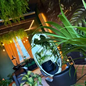 WhatsApp Image 2026-03-02 at 21.45.24 (1)